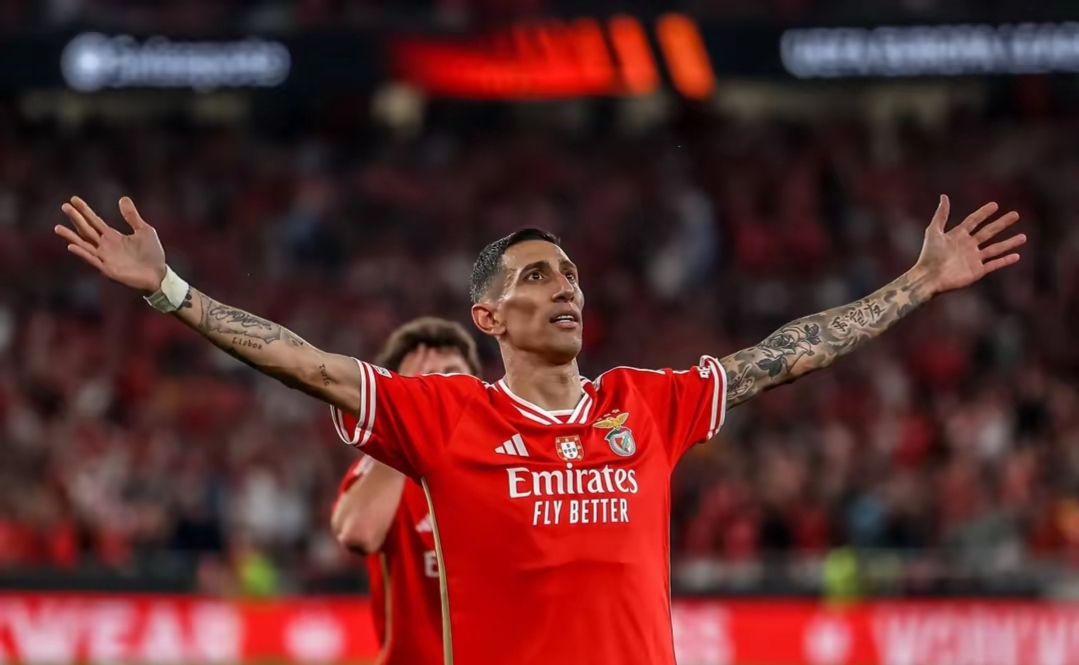 关于赛地聚焦：德甲赛前热度飙升，本菲卡篮板制胜，赛场秩序良好，球队文化再被提及的信息